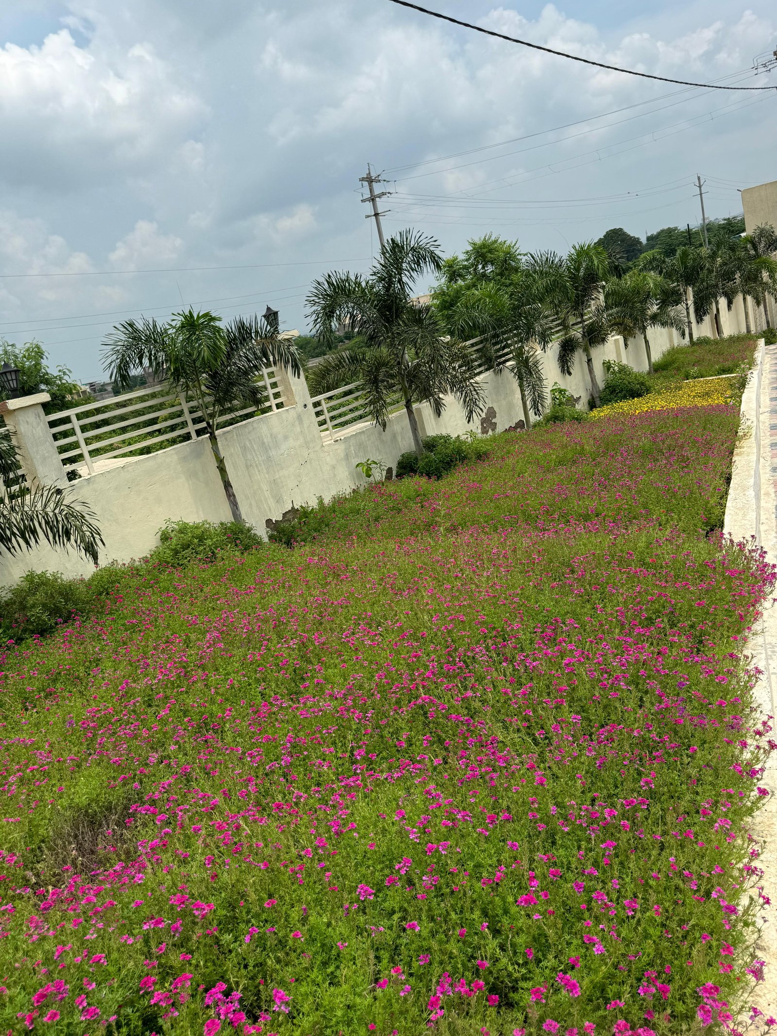 Green open spaces at Mangal City